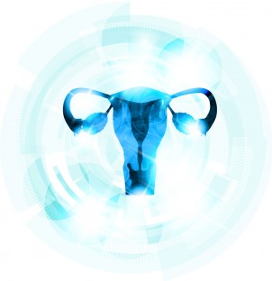Diagram of a uterus