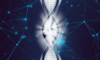 DNA strand