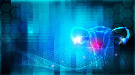 abstract representation of a uterus