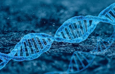 dna strand