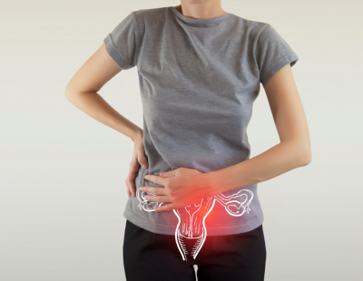 Uterus Drawing on a Woman