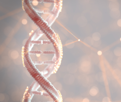 DNA Helix