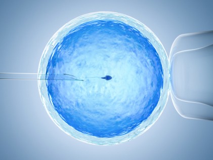 shutterstock 1109359865